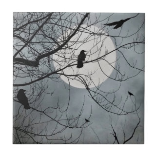 Carreau Carrelage céramique Oiseaux célestes