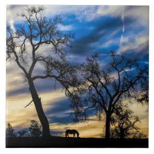 Carreau Carrelage d'art Big Skies avec Cheval et Chênes