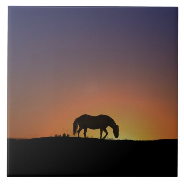 Carreau Carrelage d'art éblouissant (Devant)