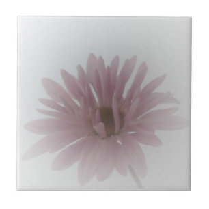 Carreau Carrelage de brume de marais