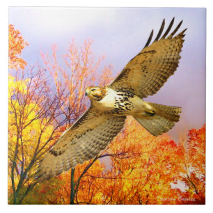 Carreau Carrelage décoratif "High Flyer"