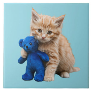 Carreau Carrelage décoratif orange Tabby Kitten et Teddy