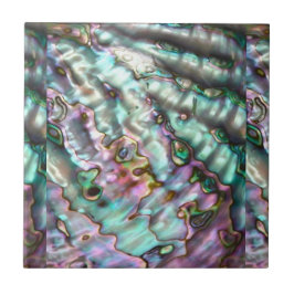 Carreau Carrelage en céramique Abalone / dessous de verre
