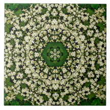 Carrelage en céramique aux fleurs d'airelles de pr