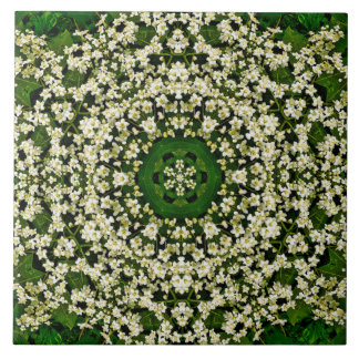 Carreau Carrelage en céramique aux fleurs d'airelles de pr