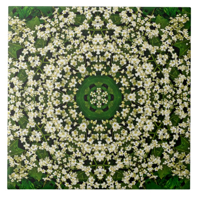 Carreau Carrelage en céramique aux fleurs d'airelles de pr (Devant)