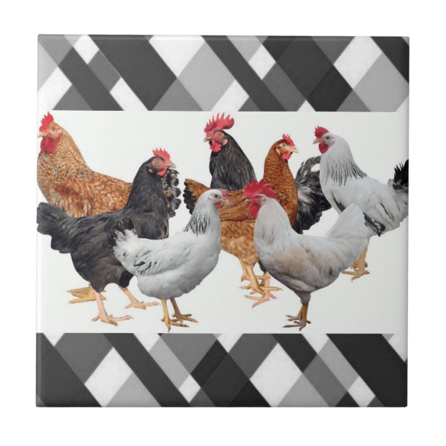 Carreau Carrelage en céramique Blanc Noir Plaid Poulets (Devant)