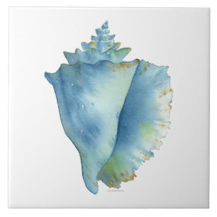 Carreau Carrelage en céramique - Coquillage bleu Conch