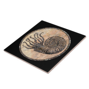 Carreau Carrelage en céramique d'Ammonite