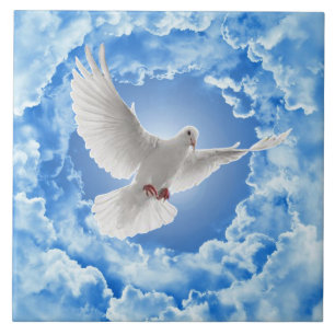 Carreau Carrelage en céramique de colombe