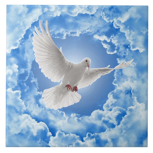 Carreau Carrelage en céramique de colombe (Devant)