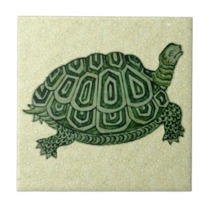 Carreau Carrelage en céramique de la tortue verte Repro D
