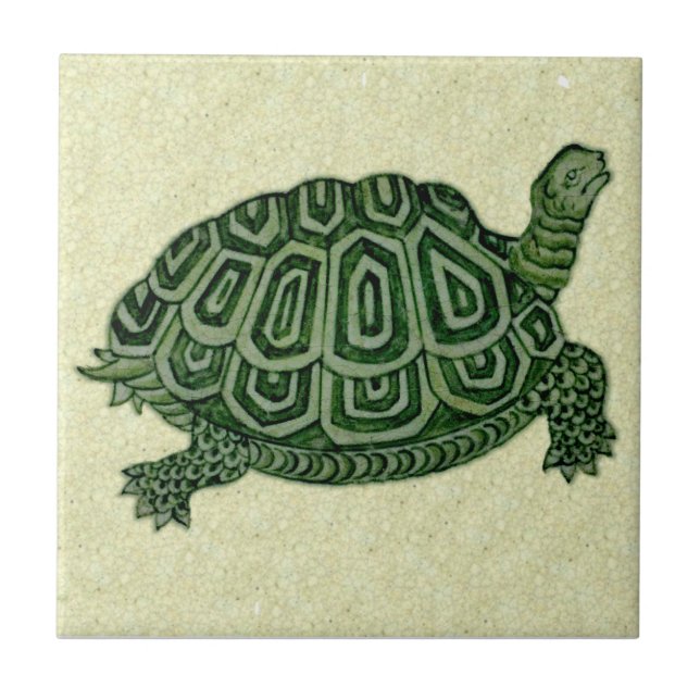 Carreau Carrelage en céramique de la tortue verte Repro De (Devant)