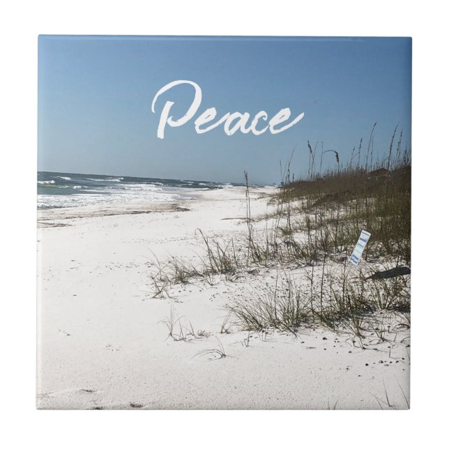 Carreau Carrelage en céramique de mousse de mer (Devant)