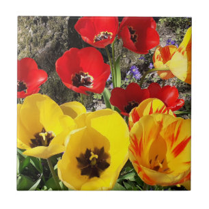 Carreau Carrelage en céramique des Tulipes jaunes et roug