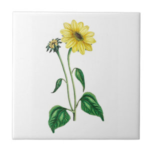 Carreau Carrelage en céramique d'une marguerite jaune