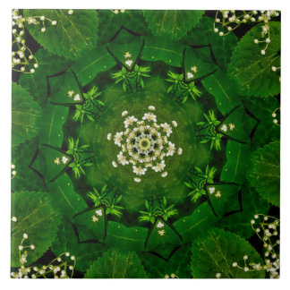 Carreau Carrelage en céramique Feuilles et fleurs de print