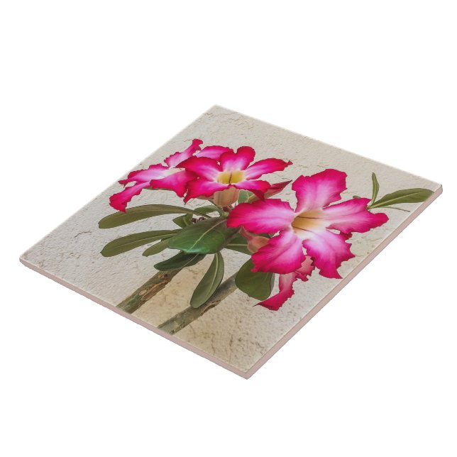 Carreau Carrelage en céramique Fleurs Roses du désert (Côté)