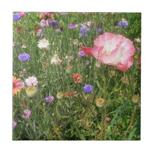 Carreau Carrelage en céramique Fleurs sauvages