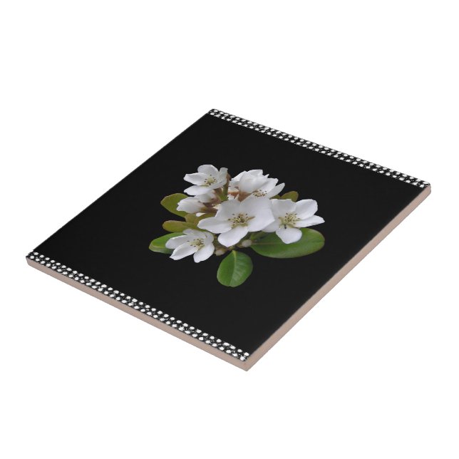 Carreau Carrelage en céramique Floral blanc et noir (Côté)