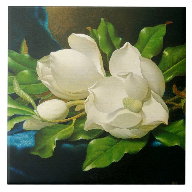 Carreau Carrelage en céramique Heade Magnolia (Devant)