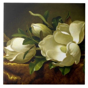 Carreau Carrelage en céramique Heade Magnolia Flowers Gol