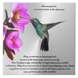 Carreau Carrelage en céramique HUMMINGBIRD