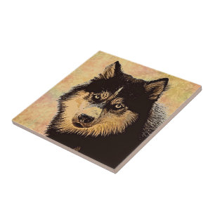 Carreau Carrelage en céramique Husky de Sibérie