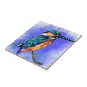 Carreau Carrelage en céramique Kingfisher