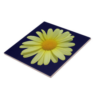 Carreau Carrelage en céramique - Marguerite jaune sur le c