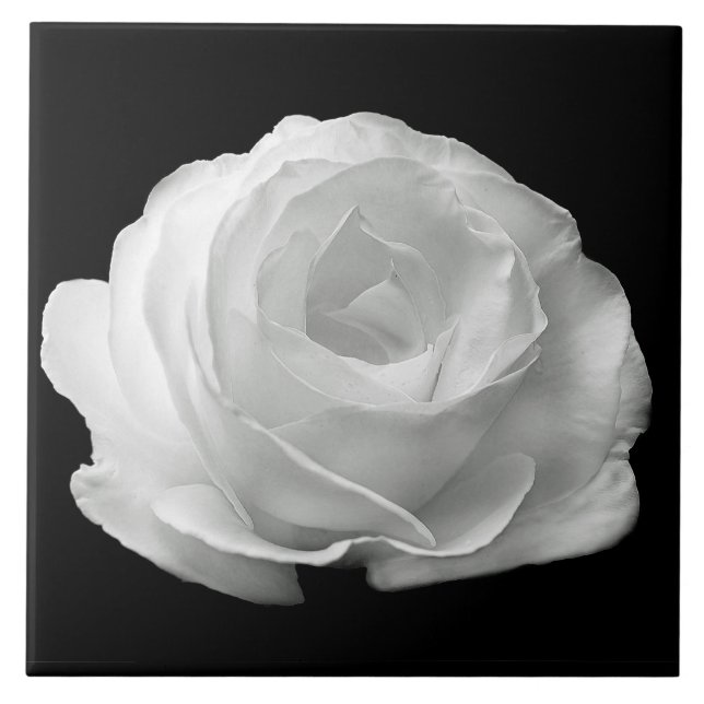 Carreau Carrelage en céramique noire Rose blanche Arrière  (Devant)