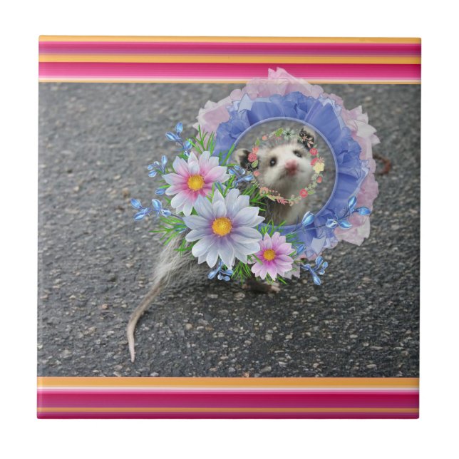Carreau Carrelage en céramique Opossum Flore (Devant)