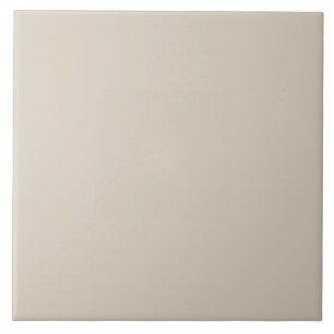 Carreau Carrelage en céramique Pale Taupe.