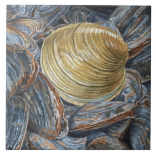 Carreau Carrelage en céramique Quahog et Clams