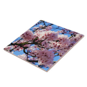 Carreau Carrelage en céramique rose Fleur de Cerisier