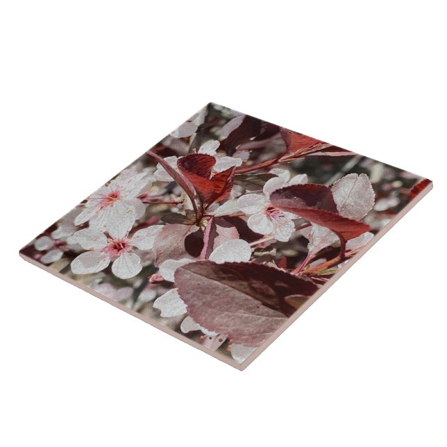 Carreau Carrelage en céramique rose Maroon Flora (Côté)