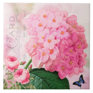 Carreau Carrelage en céramique Roses d'hydrangea rose fran