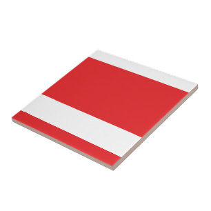 Carreau Carrelage en céramique rouge blanc