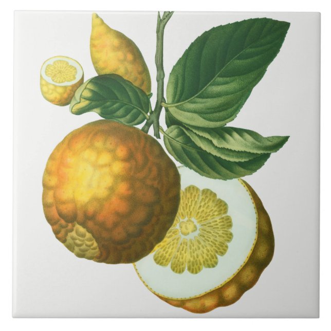 Carreau Carrelage en céramique vintage (Devant)