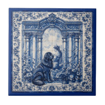 Carrelage mural de jardin Terre-Neuve bleu et blan