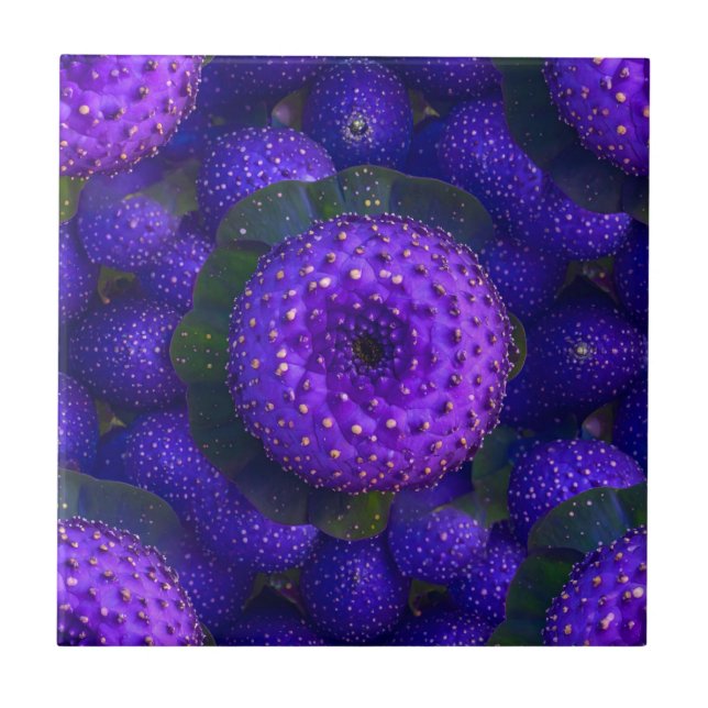 Carreau Carrelage naturel violet vif (Devant)