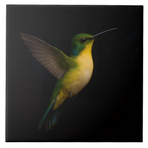 Carreau Carrelage noir 4 Luxe avec colibri volant