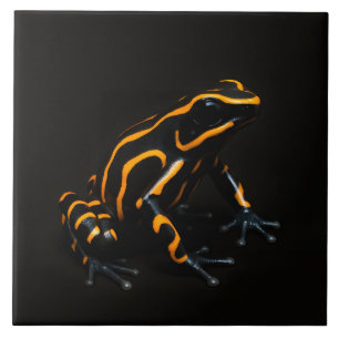 Carreau Carrelage noir 4 Luxe avec grenouille tropicale or