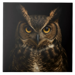 Carreau Carrelage noir 4 Luxe avec hibou doré