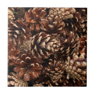Carreau Carrelage Pine Cones