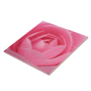 Carreau Carrelage rose Camellia