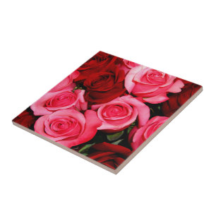 Carreau Carrelage rose, rose et rouge
