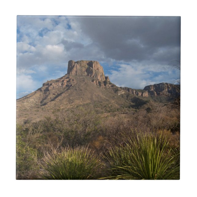 Carreau Casa Grande Peak, Bassin du Chisos, Big Bend (Devant)