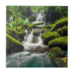 Carreau Cascade en montagne d'idiot de baquet de la jungle