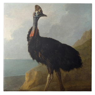 Carreau Cassowary (Oiseau australien) (Art animal sauvage)